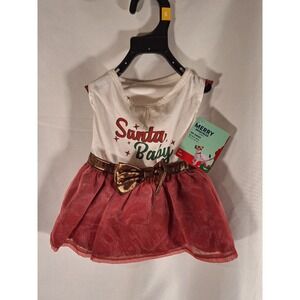 Merry Makings Petco Santa Baby Christmas Pet Dress Red White Gold Small 13-15in